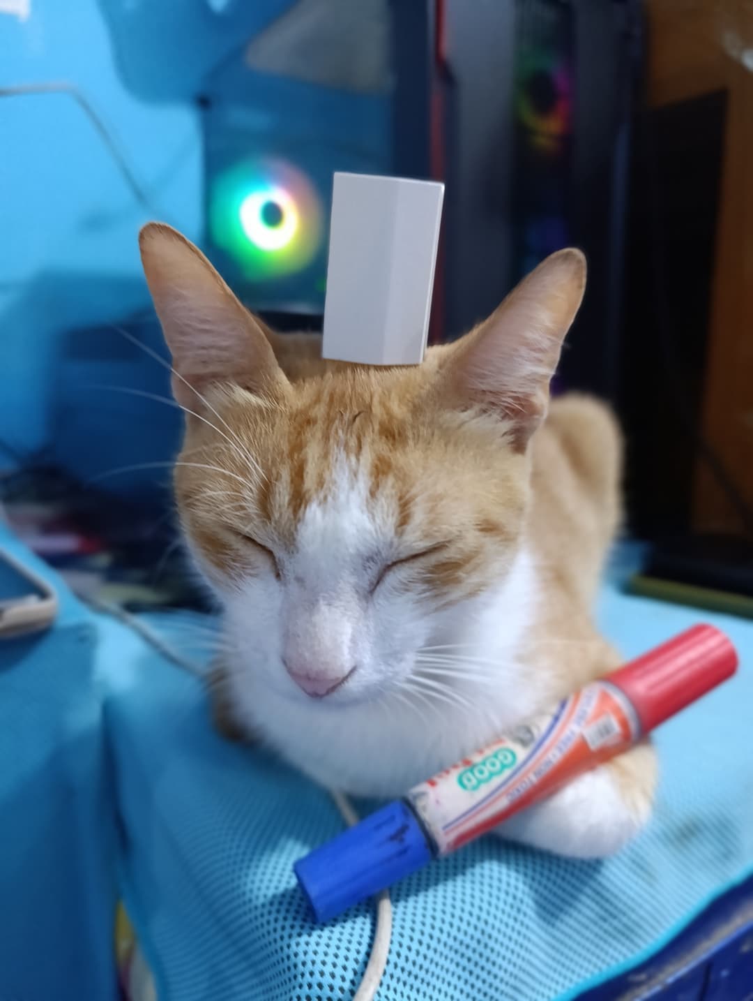 စစ်သူကြီးပူတစ်