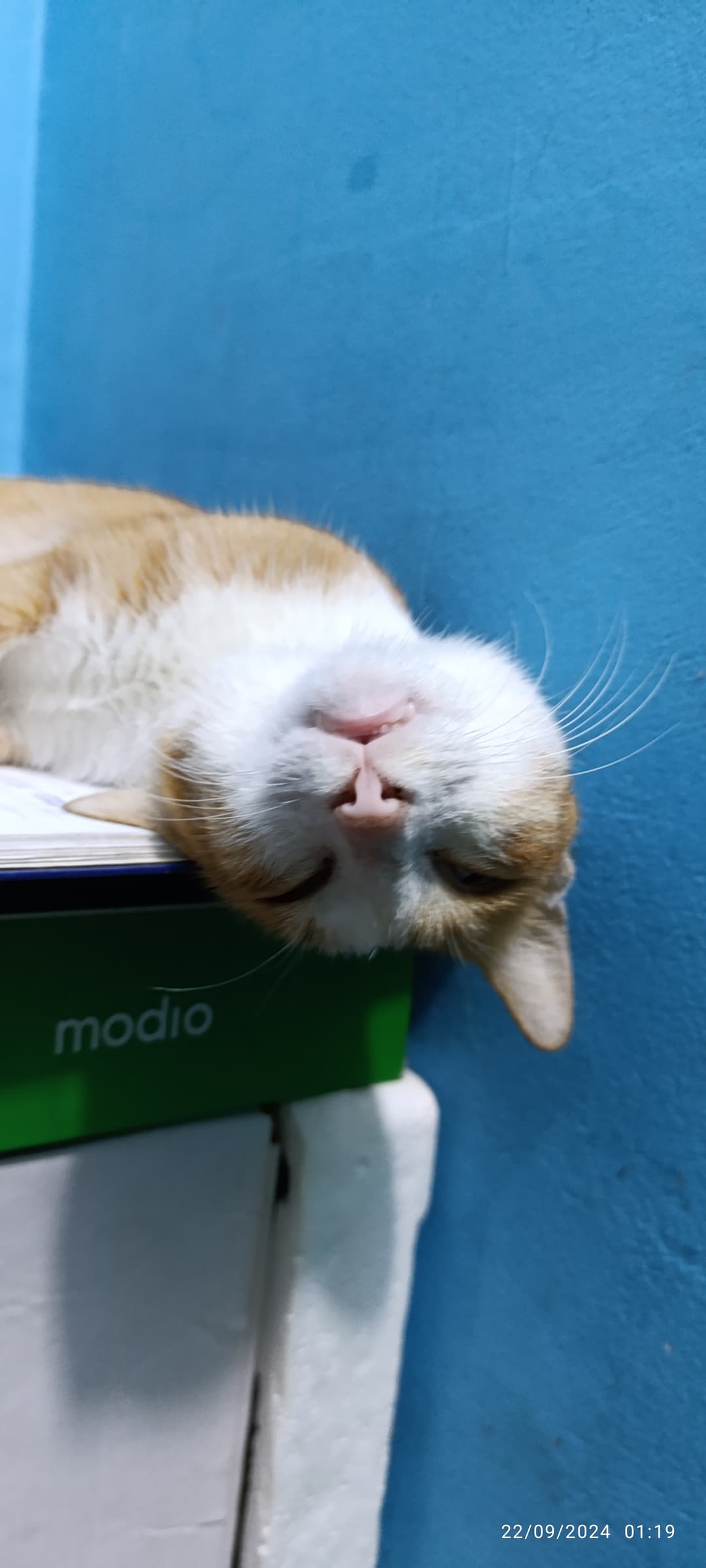 အိပ်ပုပ် ပူတစ်